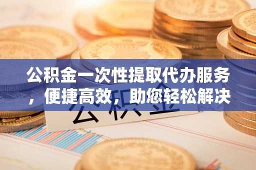 临西公积金一次性提取代办服务，便捷高效，助您轻松解决资金难题