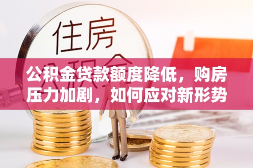 临西公积金贷款额度降低，购房压力加剧，如何应对新形势？