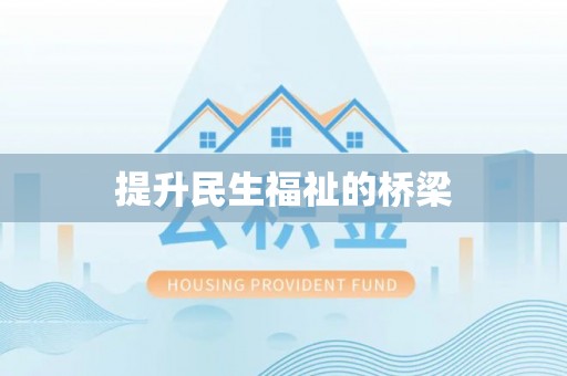 临西提升民生福祉的桥梁