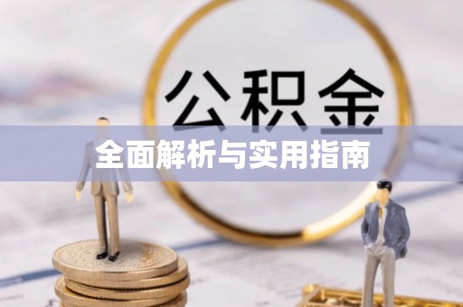 临西全面解析与实用指南
