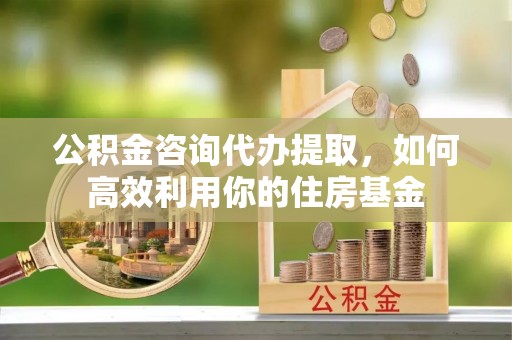 临西公积金咨询代办提取，如何高效利用你的住房基金