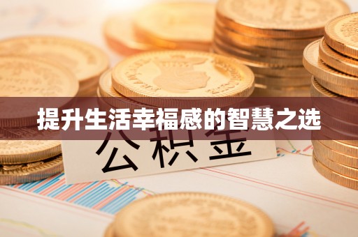 临西提升生活幸福感的智慧之选