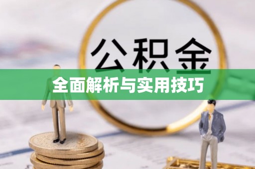 临西全面解析与实用技巧