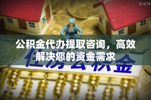 临西公积金代办提取咨询，高效解决您的资金需求
