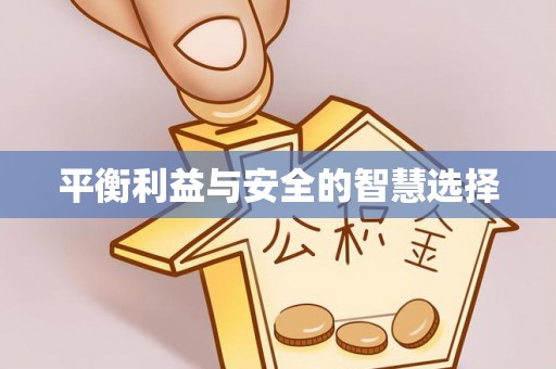 临西平衡利益与安全的智慧选择