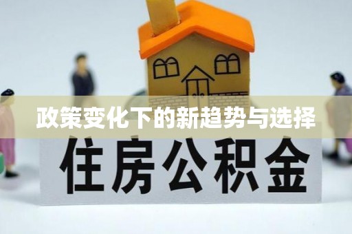 临西政策变化下的新趋势与选择