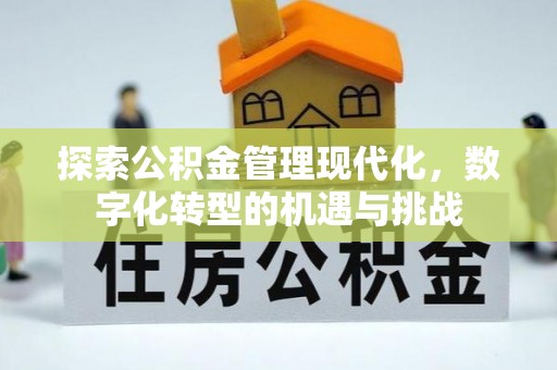 临西探索公积金管理现代化，数字化转型的机遇与挑战