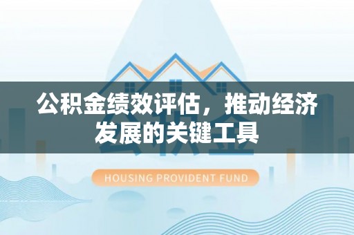 临西公积金绩效评估，推动经济发展的关键工具
