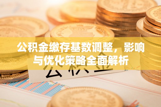 临西公积金缴存基数调整，影响与优化策略全面解析