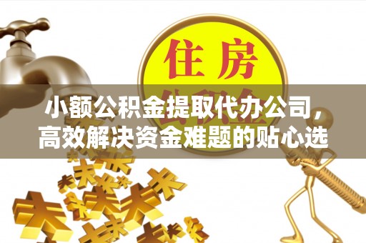 临西小额公积金提取代办公司，高效解决资金难题的贴心选择