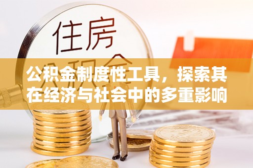 临西公积金制度性工具，探索其在经济与社会中的多重影响