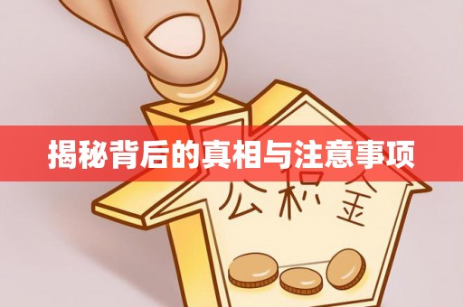 临西揭秘背后的真相与注意事项