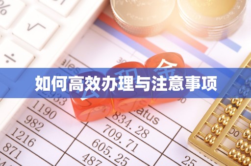 临西如何高效办理与注意事项