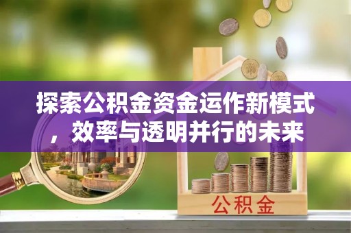 临西探索公积金资金运作新模式，效率与透明并行的未来