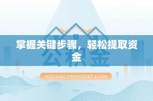 临西掌握关键步骤，轻松提取资金