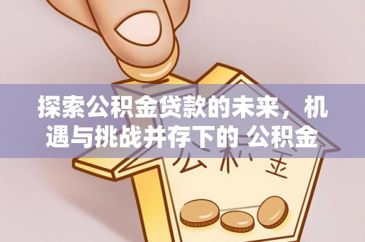 临西探索公积金贷款的未来，机遇与挑战并存下的 公积金贷款风险防控