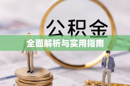 临西全面解析与实用指南