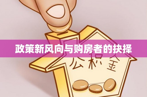 临西政策新风向与购房者的抉择