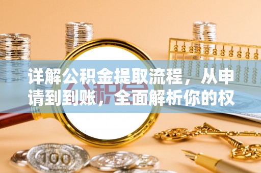 临西详解公积金提取流程，从申请到到账，全面解析你的权益与操作步骤