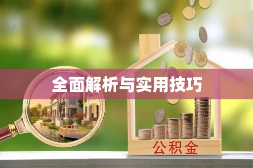 临西全面解析与实用技巧