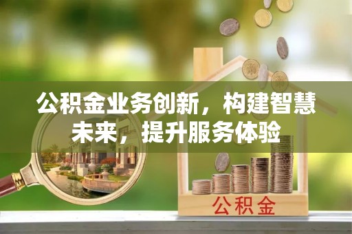 临西公积金业务创新，构建智慧未来，提升服务体验