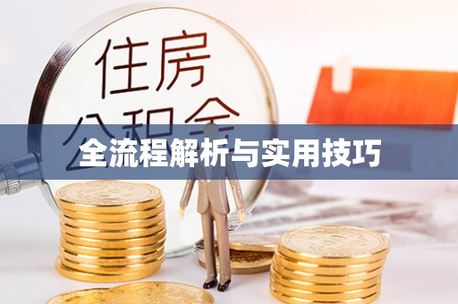 临西全流程解析与实用技巧