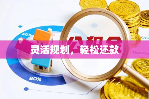 临西灵活规划，轻松还款