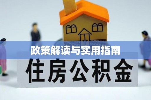 临西政策解读与实用指南