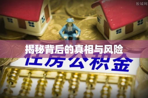 临西揭秘背后的真相与风险