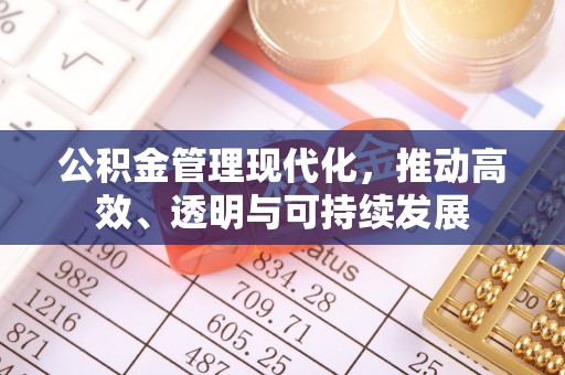 临西公积金管理现代化，推动高效、透明与可持续发展