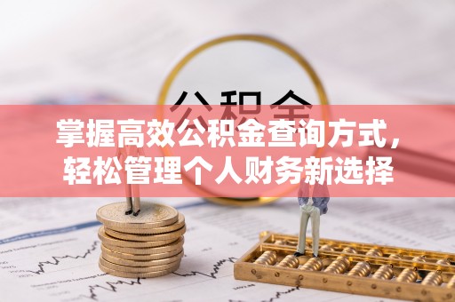 临西掌握高效公积金查询方式，轻松管理个人财务新选择