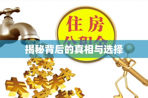 临西揭秘背后的真相与选择