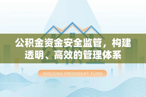 临西公积金资金安全监管，构建透明、高效的管理体系