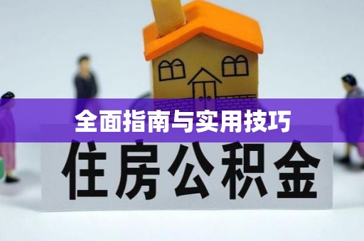 临西全面指南与实用技巧