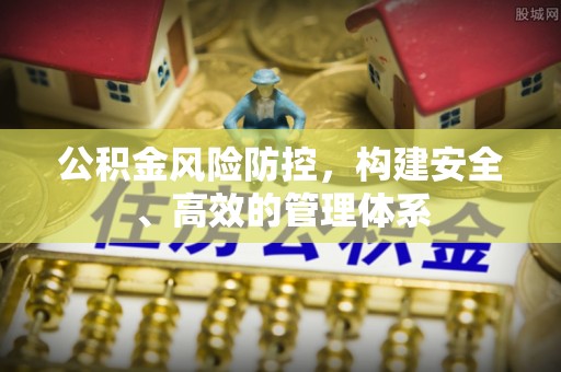 临西公积金风险防控，构建安全、高效的管理体系