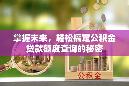 临西掌握未来，轻松搞定公积金贷款额度查询的秘密