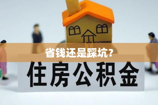 临西省钱还是踩坑？