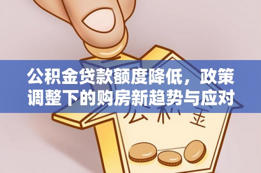 临西公积金贷款额度降低，政策调整下的购房新趋势与应对策略