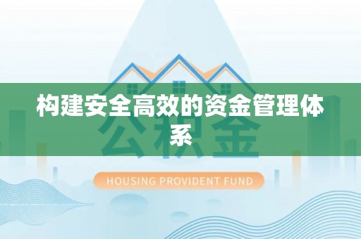 临西构建安全高效的资金管理体系