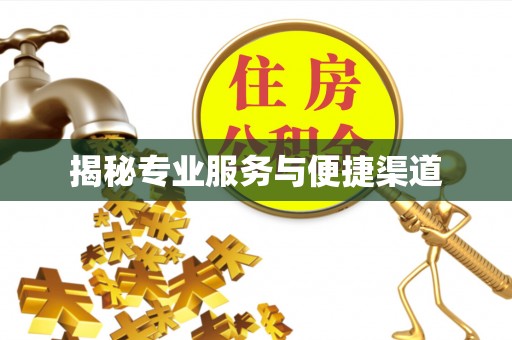 临西揭秘专业服务与便捷渠道