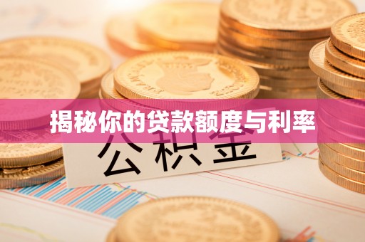 临西揭秘你的贷款额度与利率