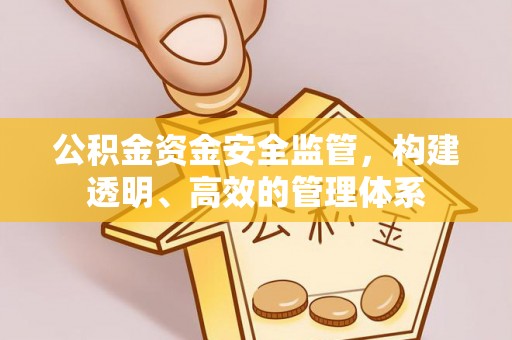 临西公积金资金安全监管，构建透明、高效的管理体系