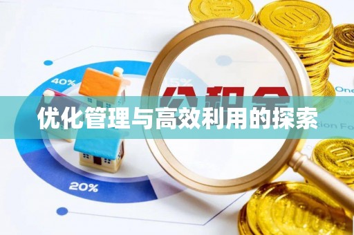 临西优化管理与高效利用的探索