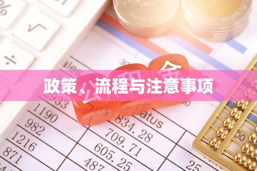 临西政策、流程与注意事项