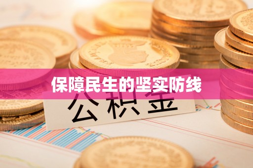 临西保障民生的坚实防线