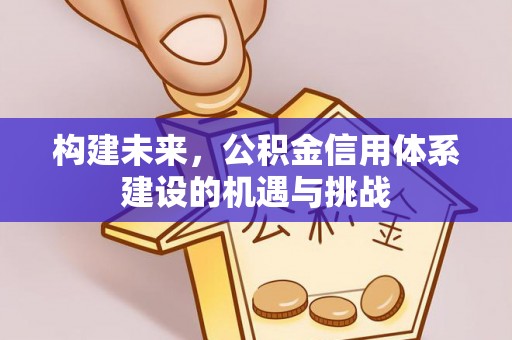 临西构建未来，公积金信用体系建设的机遇与挑战