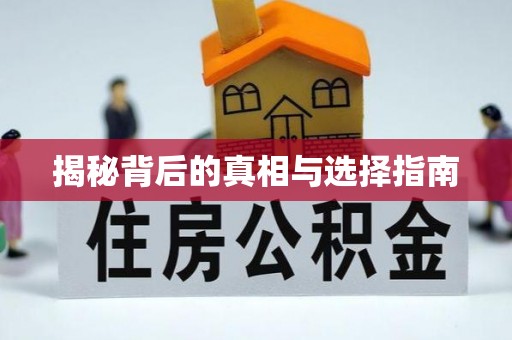 临西揭秘背后的真相与选择指南