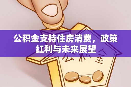 临西公积金支持住房消费，政策红利与未来展望