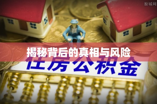 临西揭秘背后的真相与风险