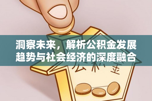 临西洞察未来，解析公积金发展趋势与社会经济的深度融合